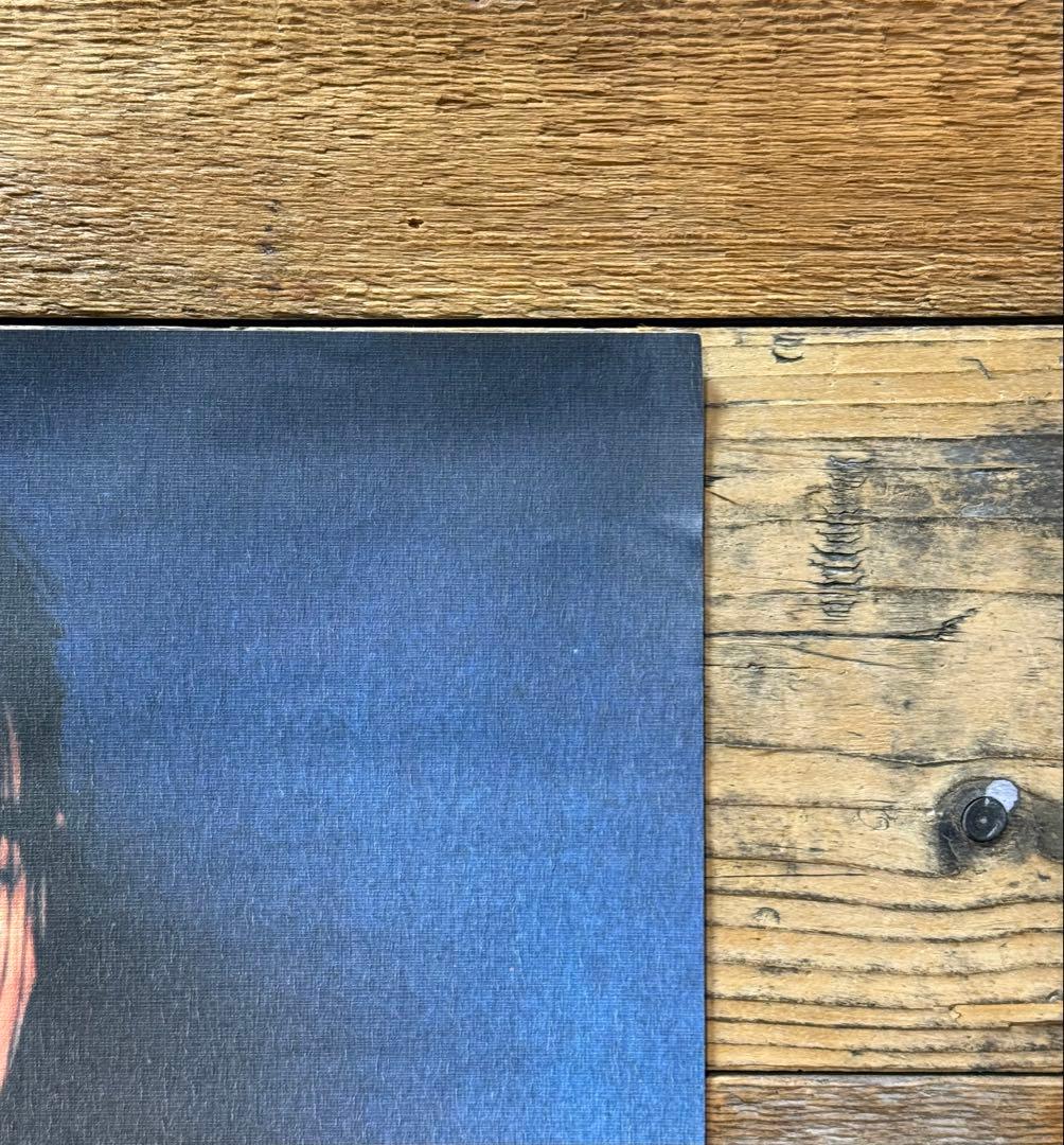 非売品】 Björk ビョーク DEBUT デビュー B3ポスター プロモ - メルカリ