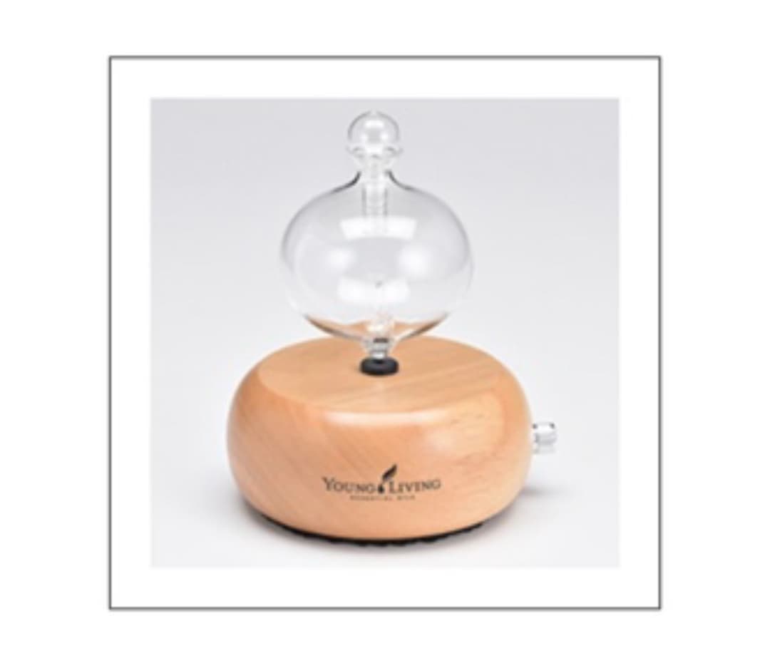 美品◆ヤングリヴィング ラウンドディフューザー