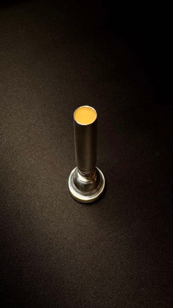 柿*種様 !!早い者勝ち タイン 1C SP / THEINトランペットマウスピ