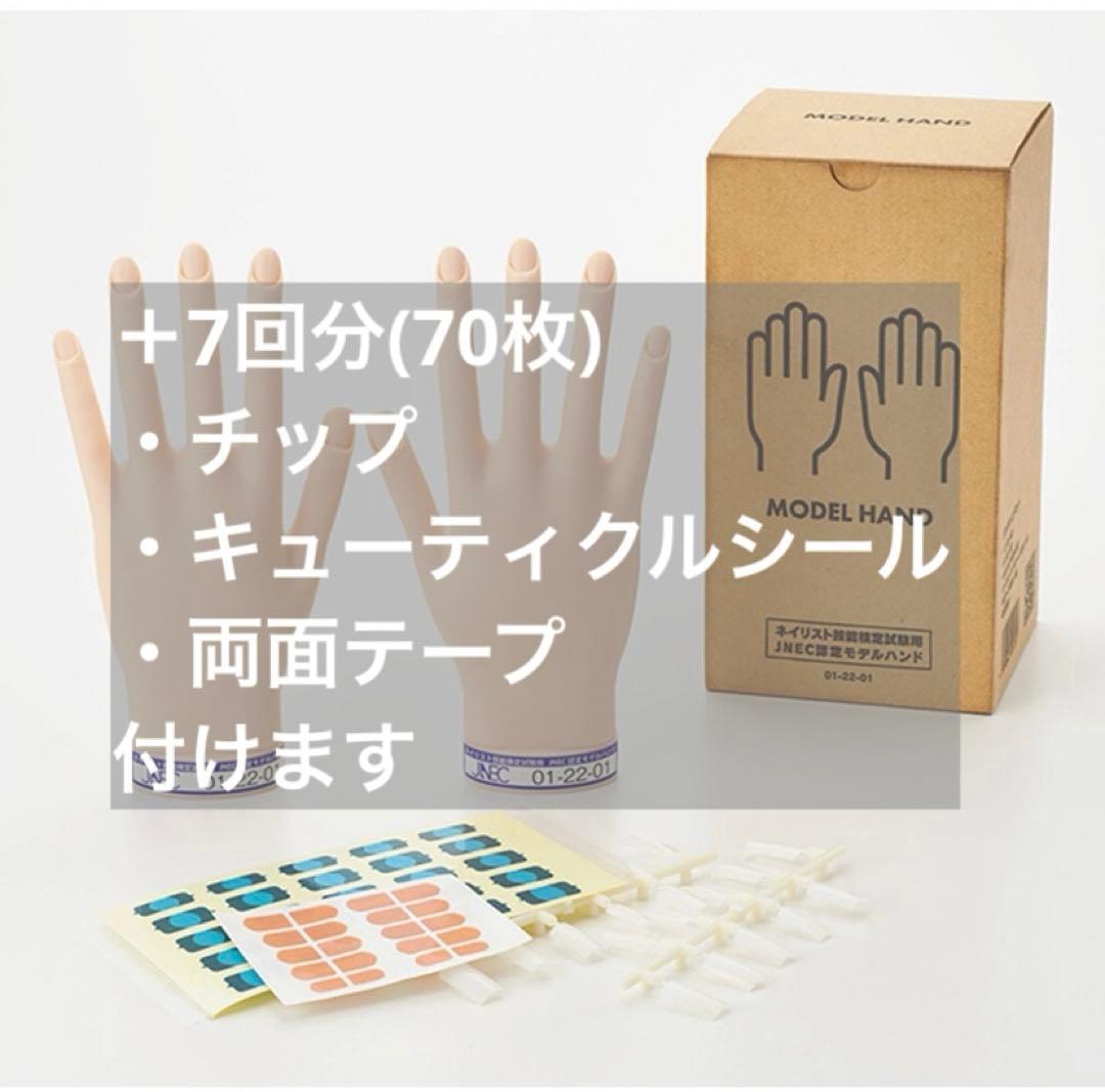 認定モデルハンド　STモデルハンド セット（JNEC 第1期認定モデルハンド）