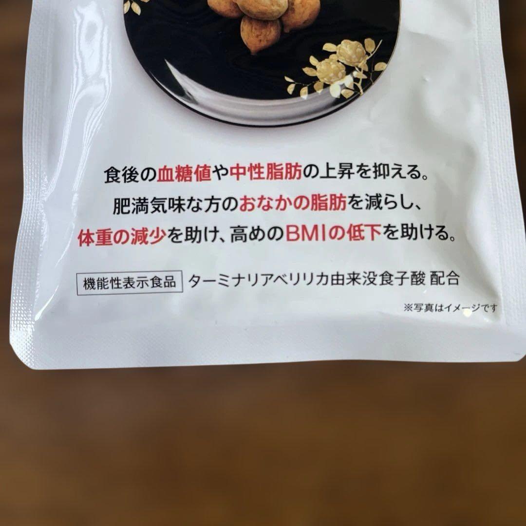 新品、未開封品✨ターミナリアファースト 120粒30日分 ビタブリッド