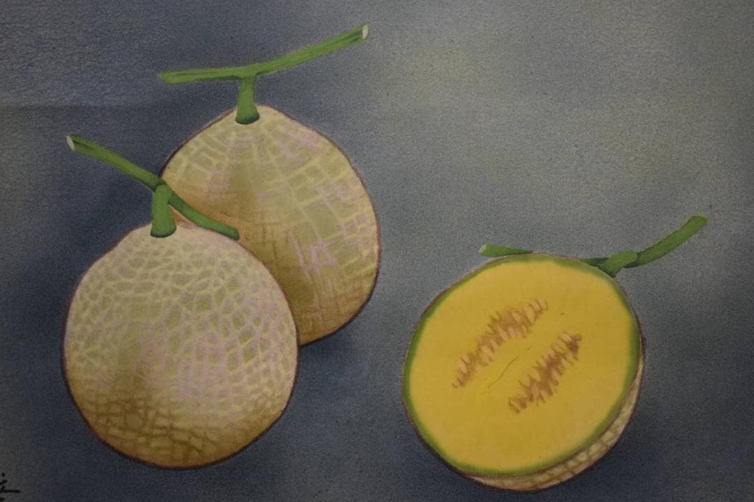 真作/正華/南香/メロン図/桐共箱太巻二重箱付/布袋屋掛軸HE-497 松屋漆器店｜白木塗タモ［6寸］二段重箱(ナチュラル) - ハシュケ