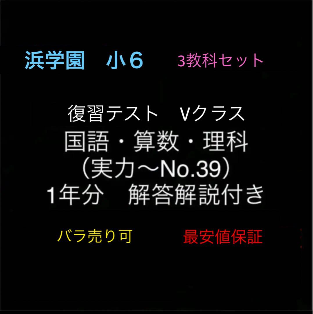 浜学園　小6　国語算数理科　Vクラス　復習テスト　実力〜No.39　解答解説付き