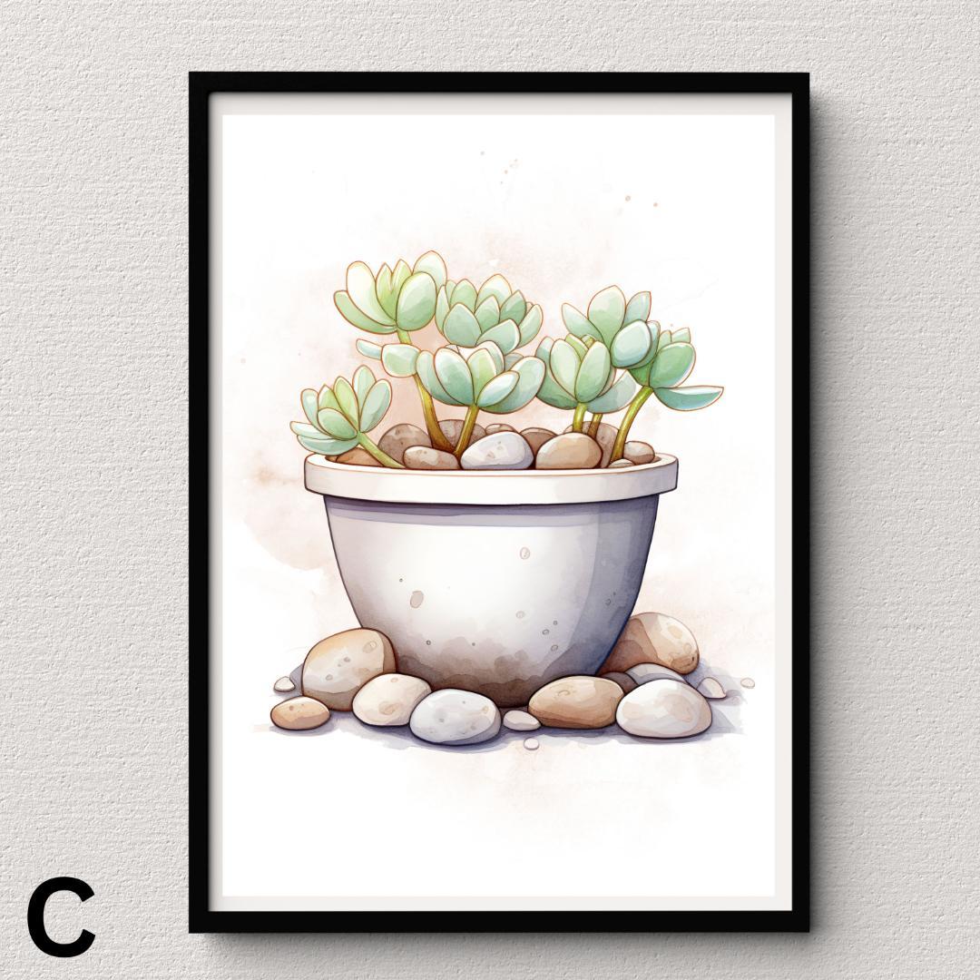 SWC19】多肉植物 水彩画 アガベ サボテン ポスター Succulent - メルカリ