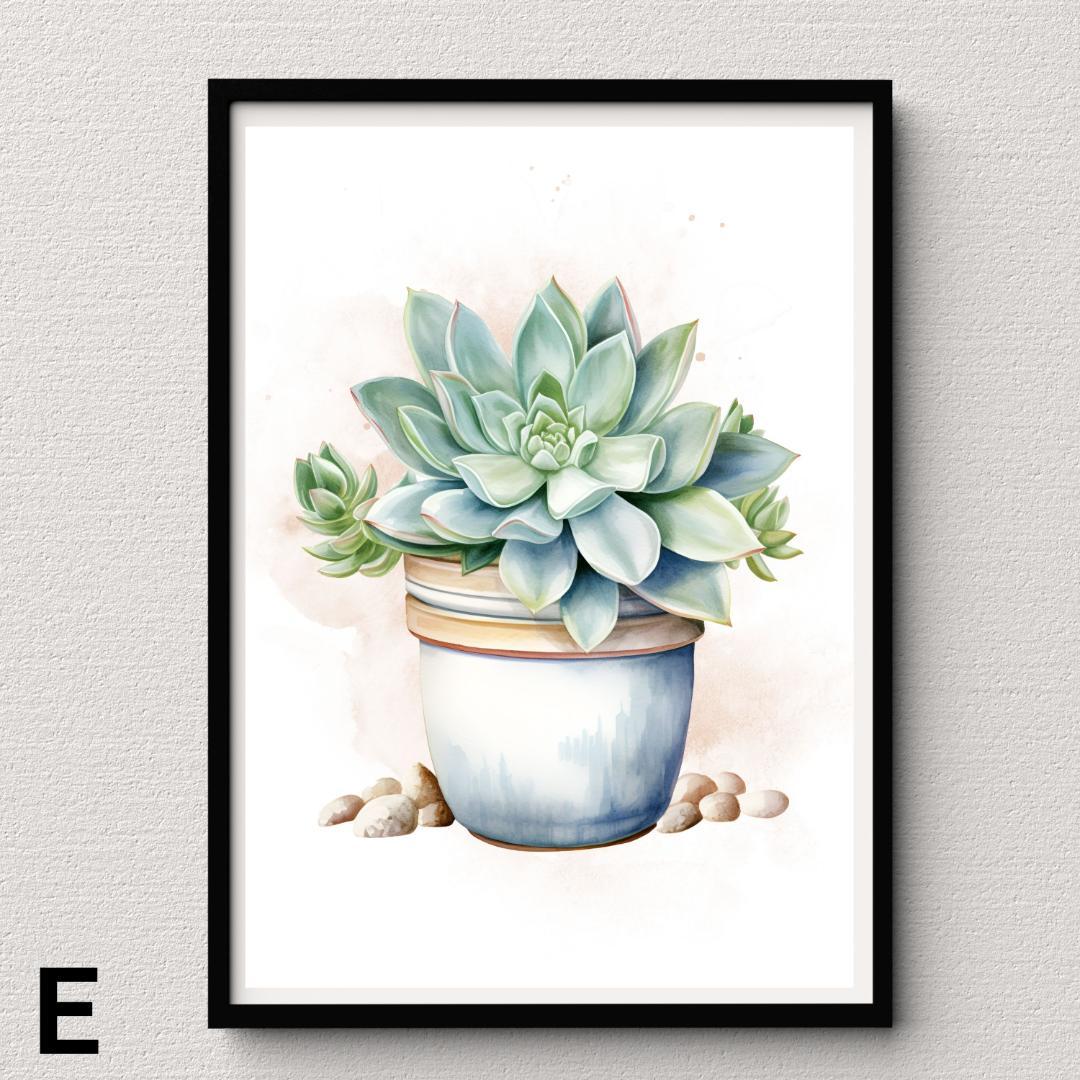 SWC19】多肉植物 水彩画 アガベ サボテン ポスター Succulent - メルカリ