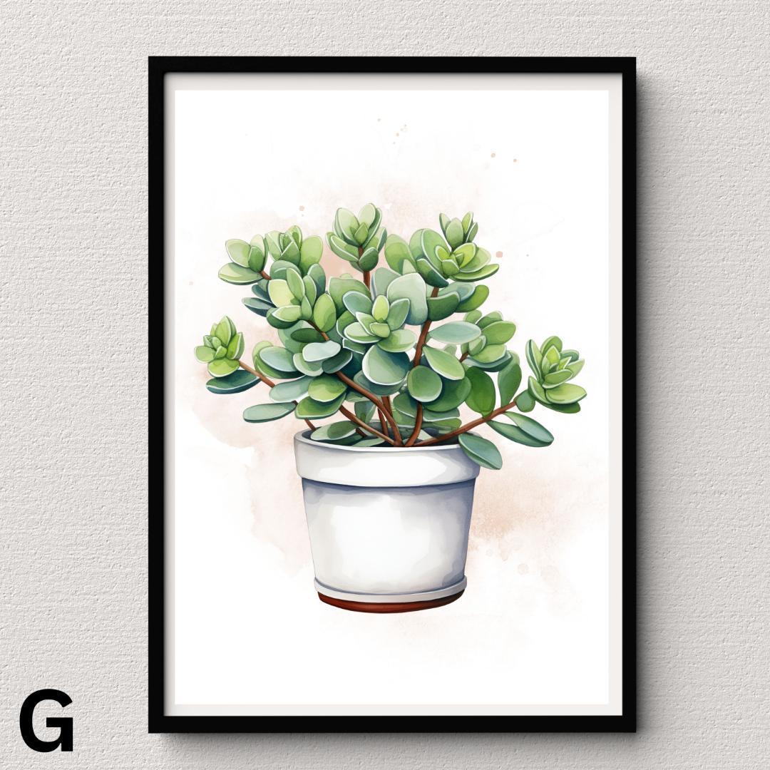 SWC19】多肉植物 水彩画 アガベ サボテン ポスター Succulent - メルカリ