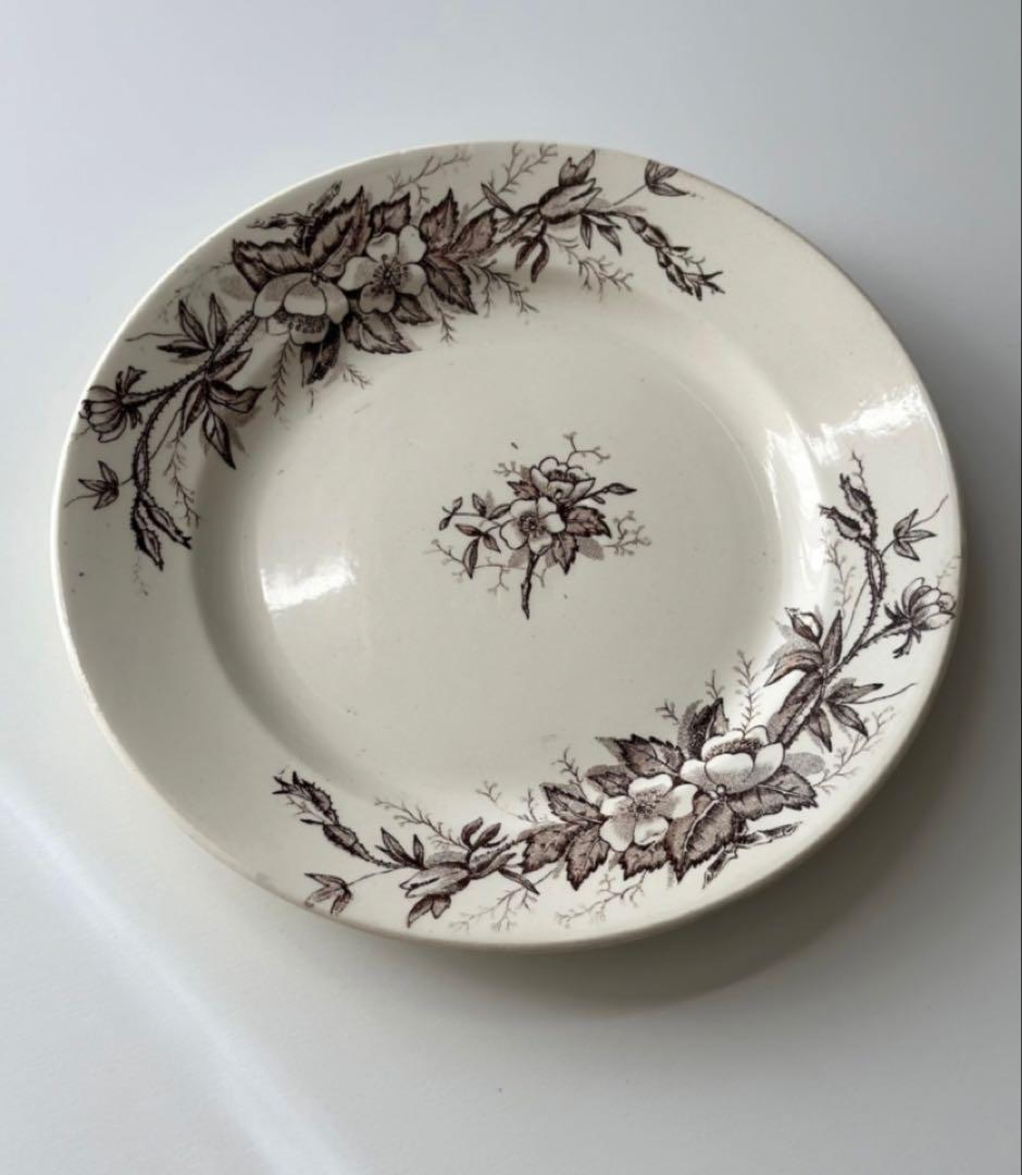 Choisy le roi ショワジールロワ EGLANTINES