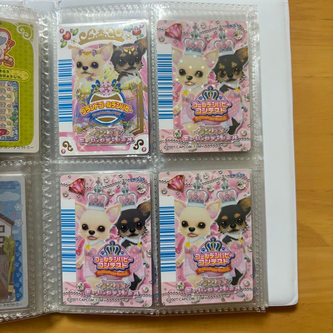 ワンタメ カード プレミアムパピブック コンプリート 限定カード 含