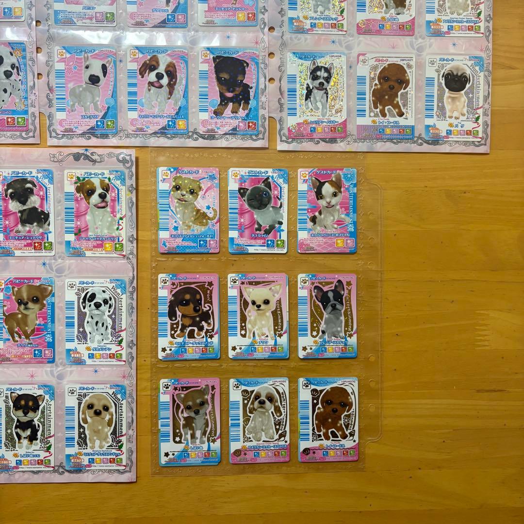 ワンタメ カード プレミアムパピブック コンプリート 限定カード 含