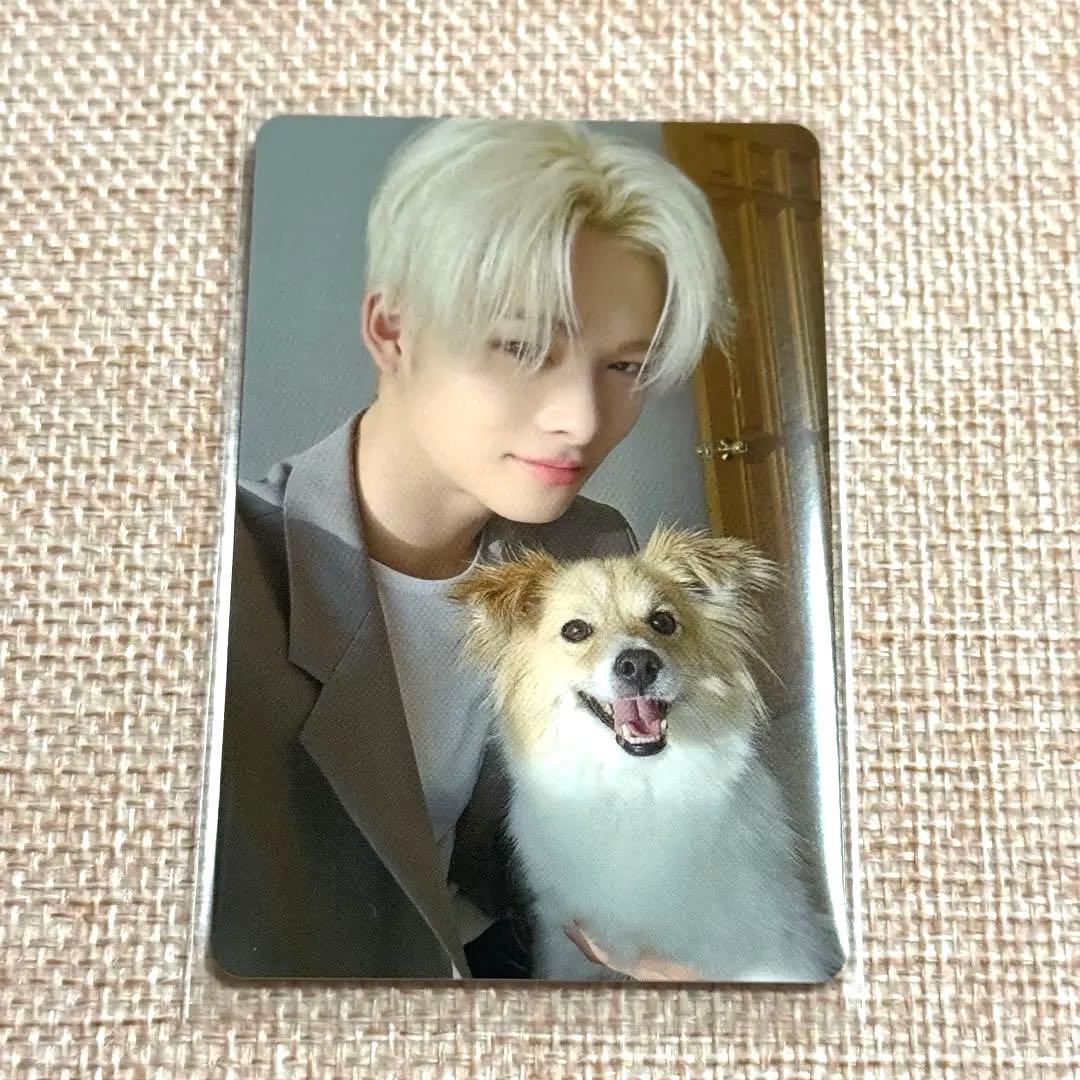 ENHYPEN 2025 アンケート 特典 FCトレカ ニキ