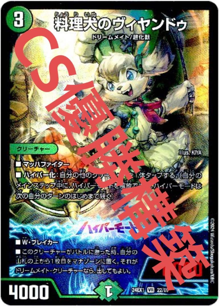 白緑ドリームメイト　CS優勝　ドリームメイト