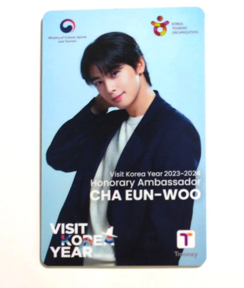 おまけ付き!チャウヌ Tmoneyカード Visit Korea