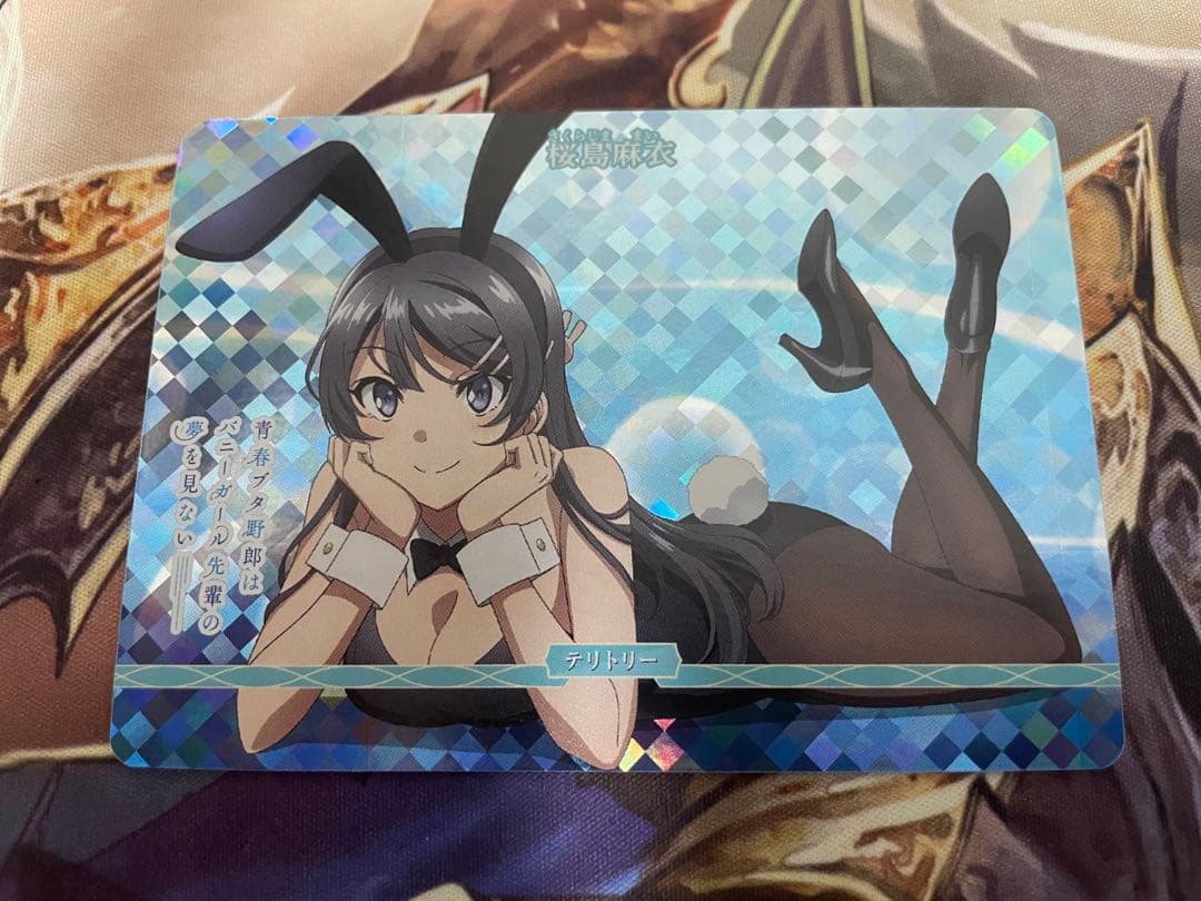 シュレディンガーの兎　桜島麻衣　VT テリトリー　ビルディバイド　青ブタ シュレディンガーの兎 桜島麻衣 VT テリトリー ビルディバイド 青ブタ