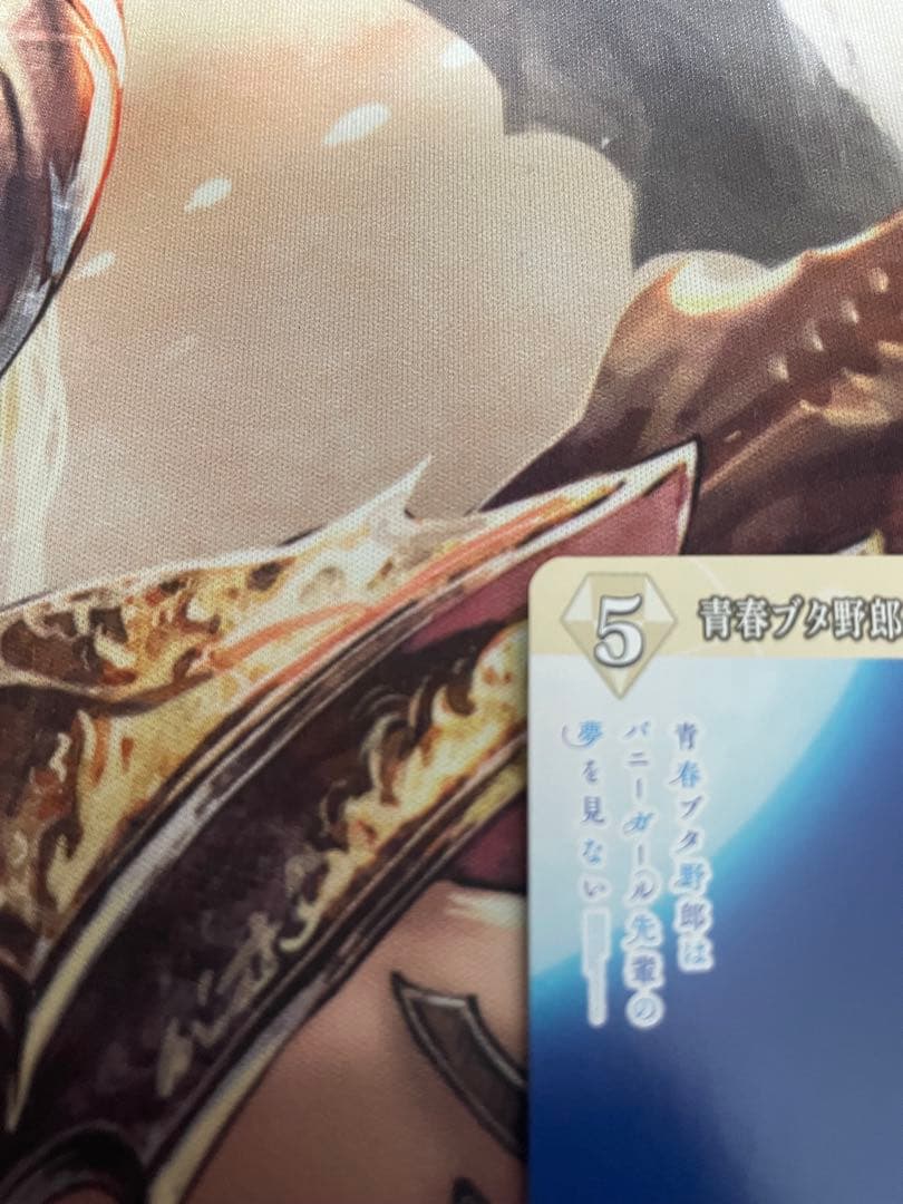 シュレディンガーの兎 桜島麻衣 VT テリトリー ビルディバイド 青ブタ