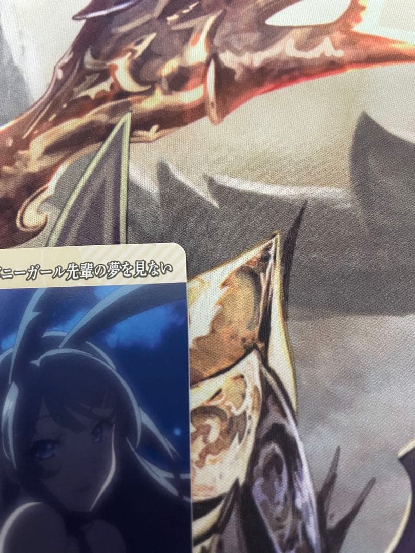 シュレディンガーの兎 桜島麻衣 VT テリトリー ビルディバイド 青ブタ