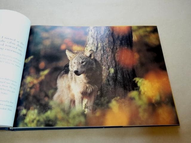 ☆ ジム・ブランデンバーグ 写真集 Brother Wolf ブラザー・ウルフ