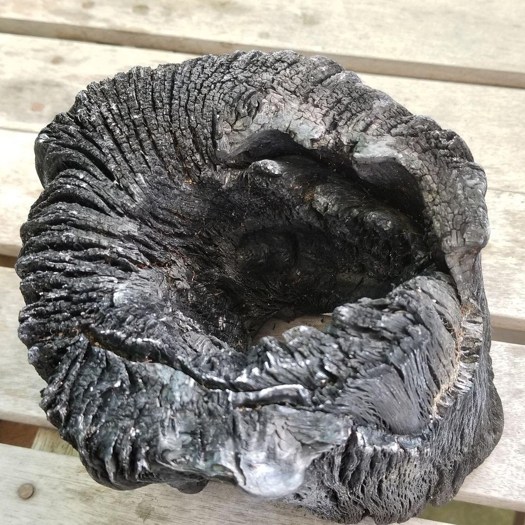紀州備長炭オブジェ 一点物 希少 - メルカリ