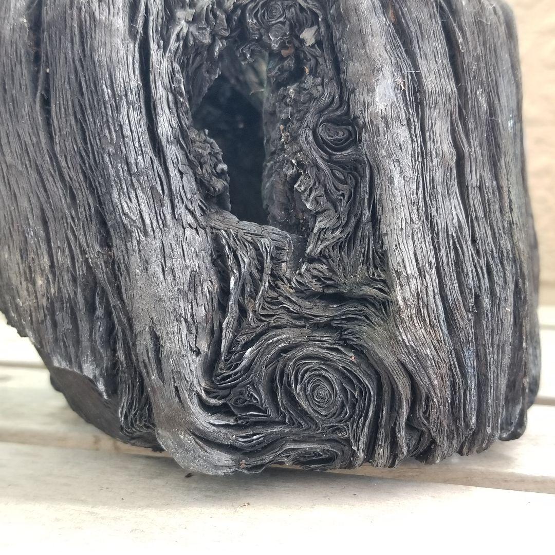 紀州備長炭オブジェ 一点物 希少 - メルカリ