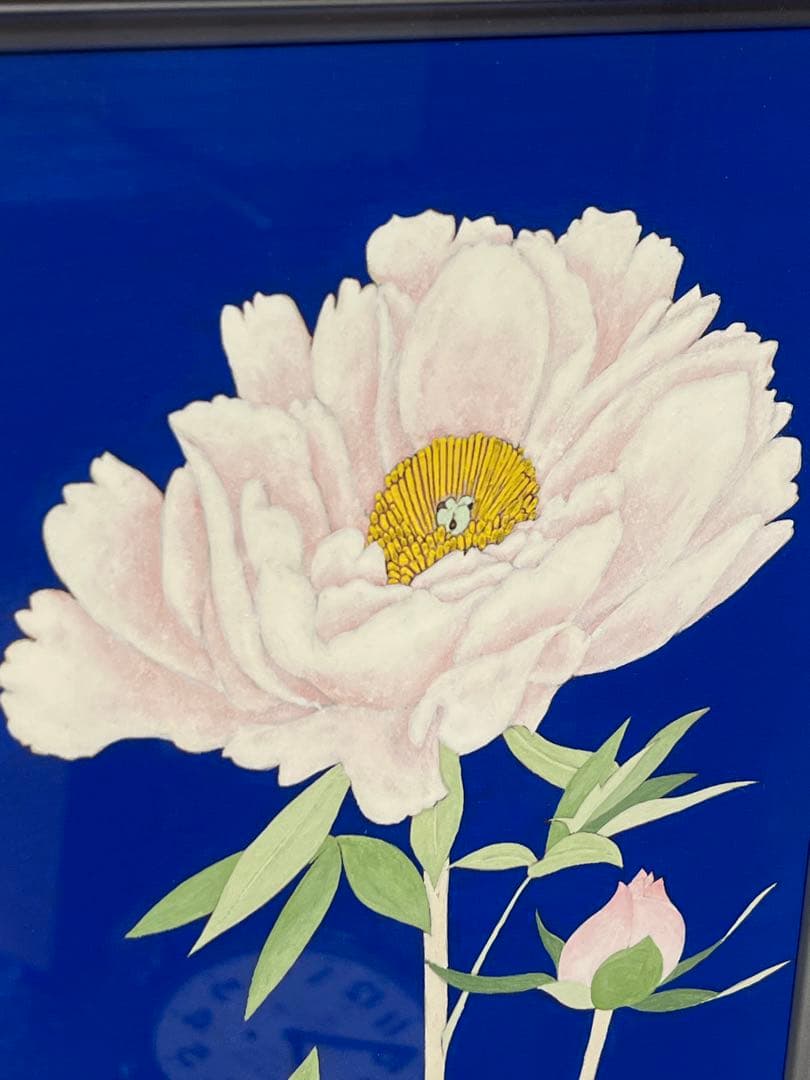 澁川矗 【ぼたん】 真作保証 しぶかわなおし