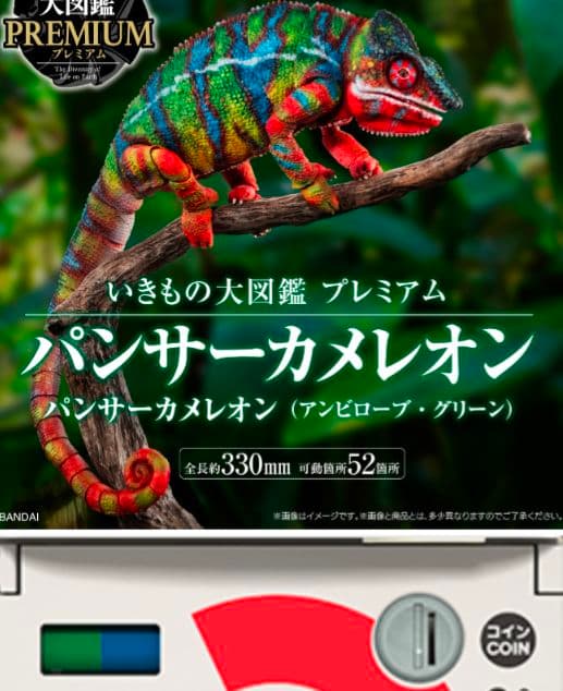 新品 いきもの大図鑑プレミアム パンサーカメレオン（アンビローブ