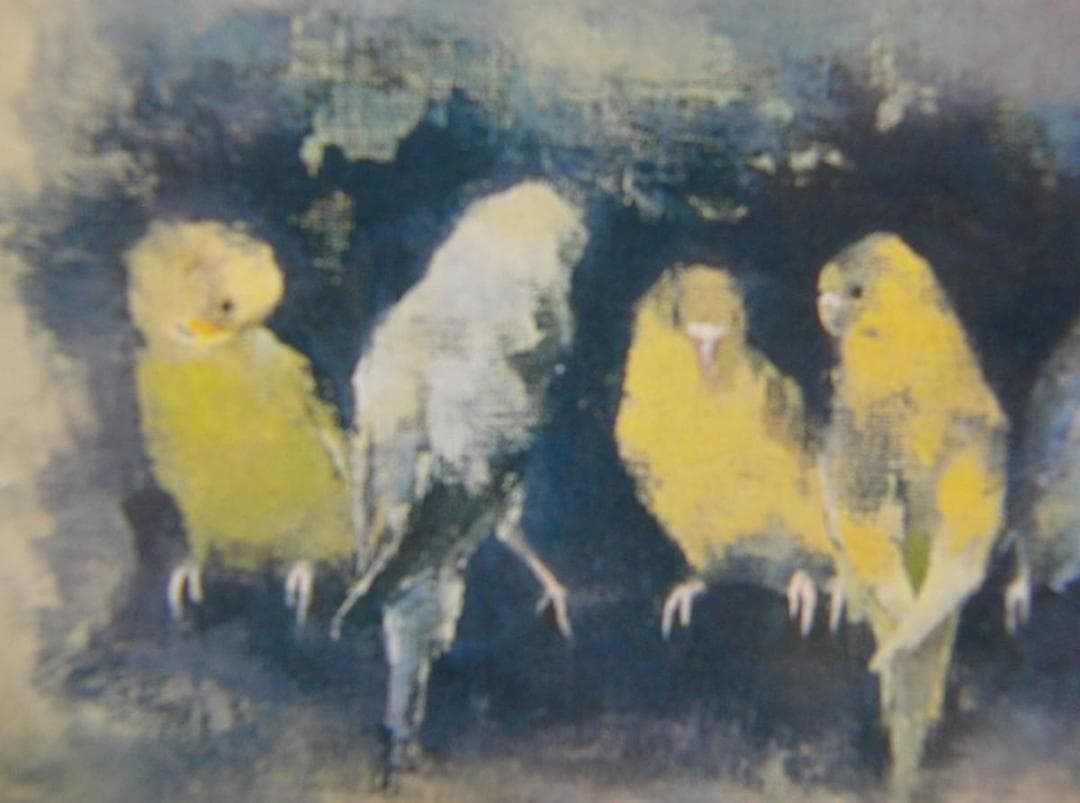 五百住 乙人、「小鳥」、希少画集・額装画、日本製・新品額縁にて額装