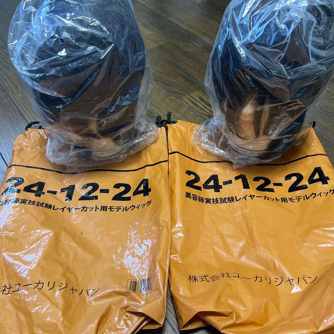 国家試験試験用カットウィッグ 2体セット 24-12-24