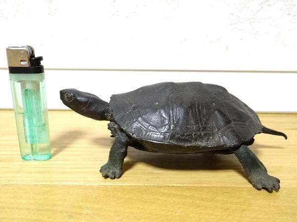 アンティーク 青銅 亀 カメ 骨董品 オブジェ 置物 金運 幸運 昭和 当時物 亀 置物 オブジェ インテリア カメ 銅 5.5cm : スピード発送 ホリック