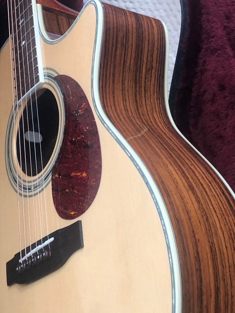 CRAFTER アコースティックエレアコ ハードケース付き