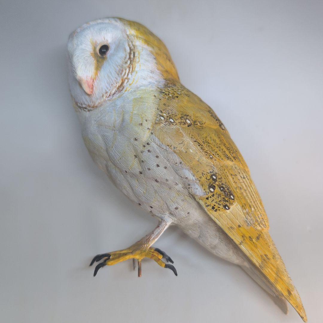 リアル 「メンフクロウ」 野鳥彫刻 バードカービング 木彫りの野鳥