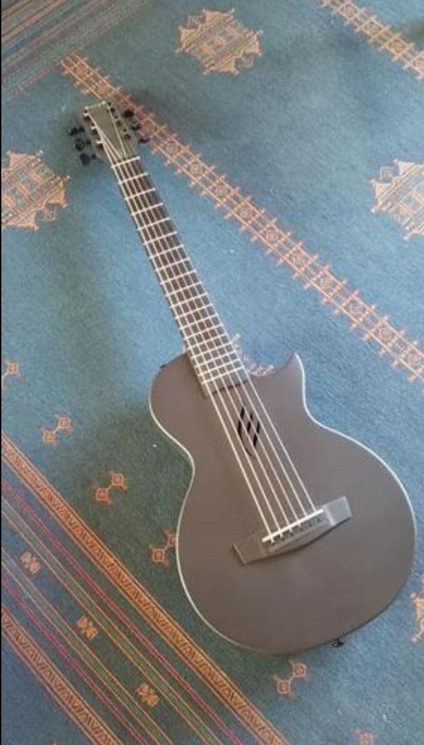 カーボン製アコースティックギター