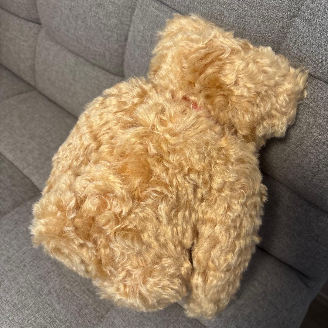 Steiff シュタイフ社 リカちゃん 30周年記念 日本3000体限定