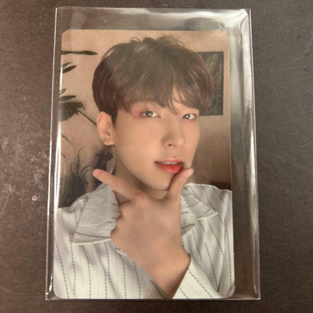 SEVENTEEN トレカ セブチ ウォヌ　carat盤