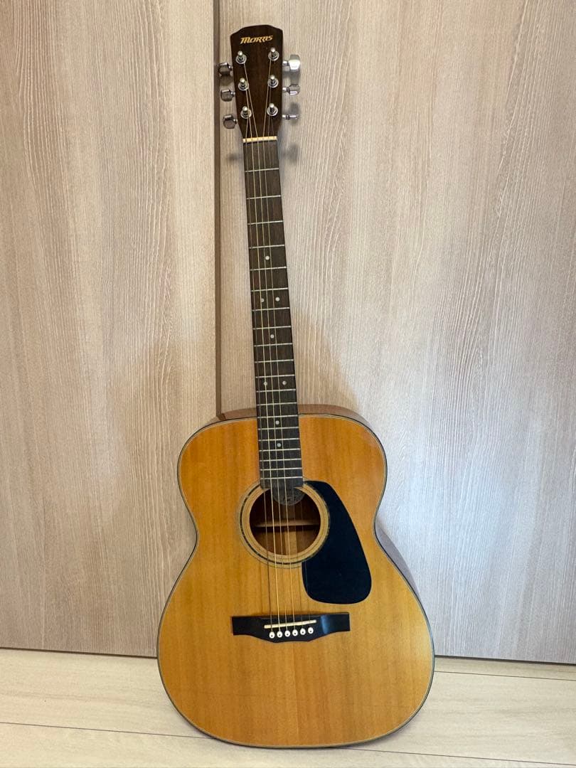 Morris F-25 アコースティックギター