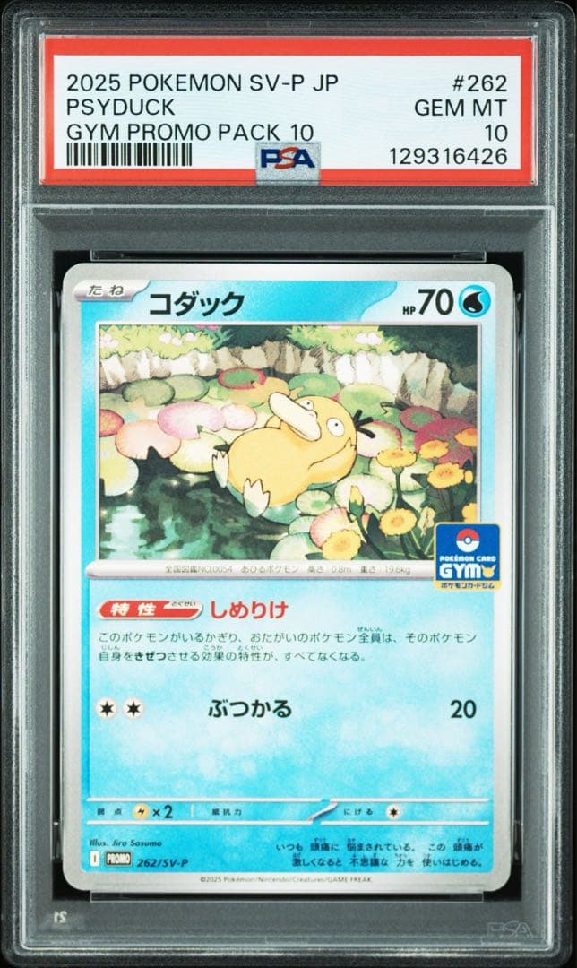 psa 10 コダック #262/sv-p しめりけ