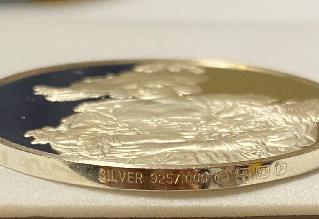 フランス 高銀位 芸術大型銀メダル 貴婦人像 鏡面美品 - メルカリ