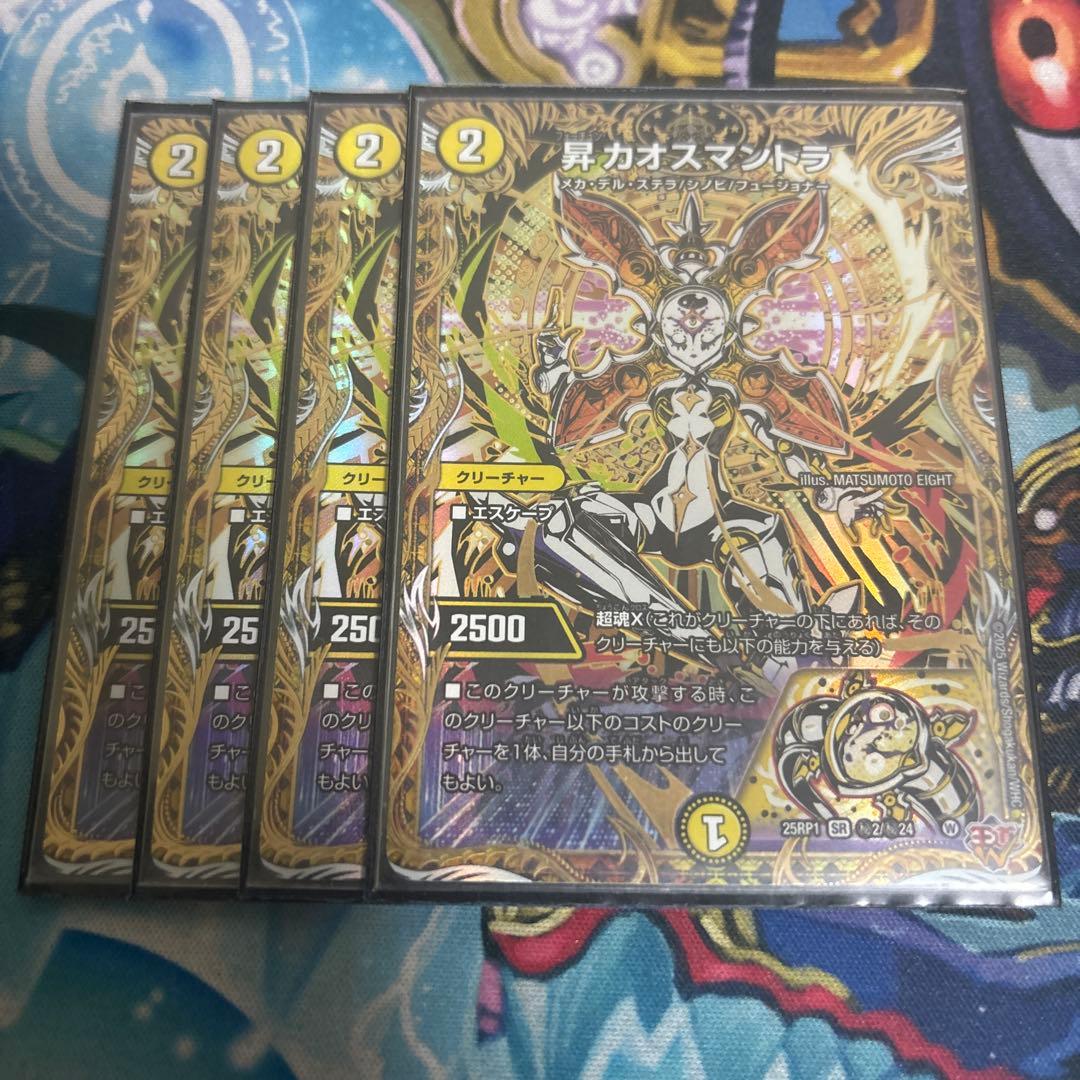 昇カオスマントラ　シークレット　シク