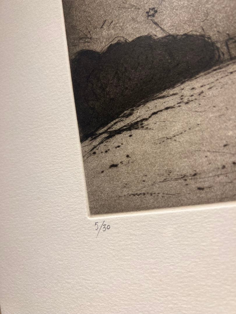 大月雄二郎【星座】 銅版画 本付 限定30