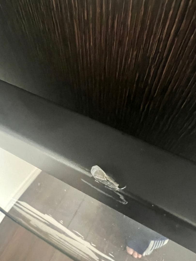 入手困難！コンラッドリーチ 人気ジミヘンの赤です！ - メルカリ