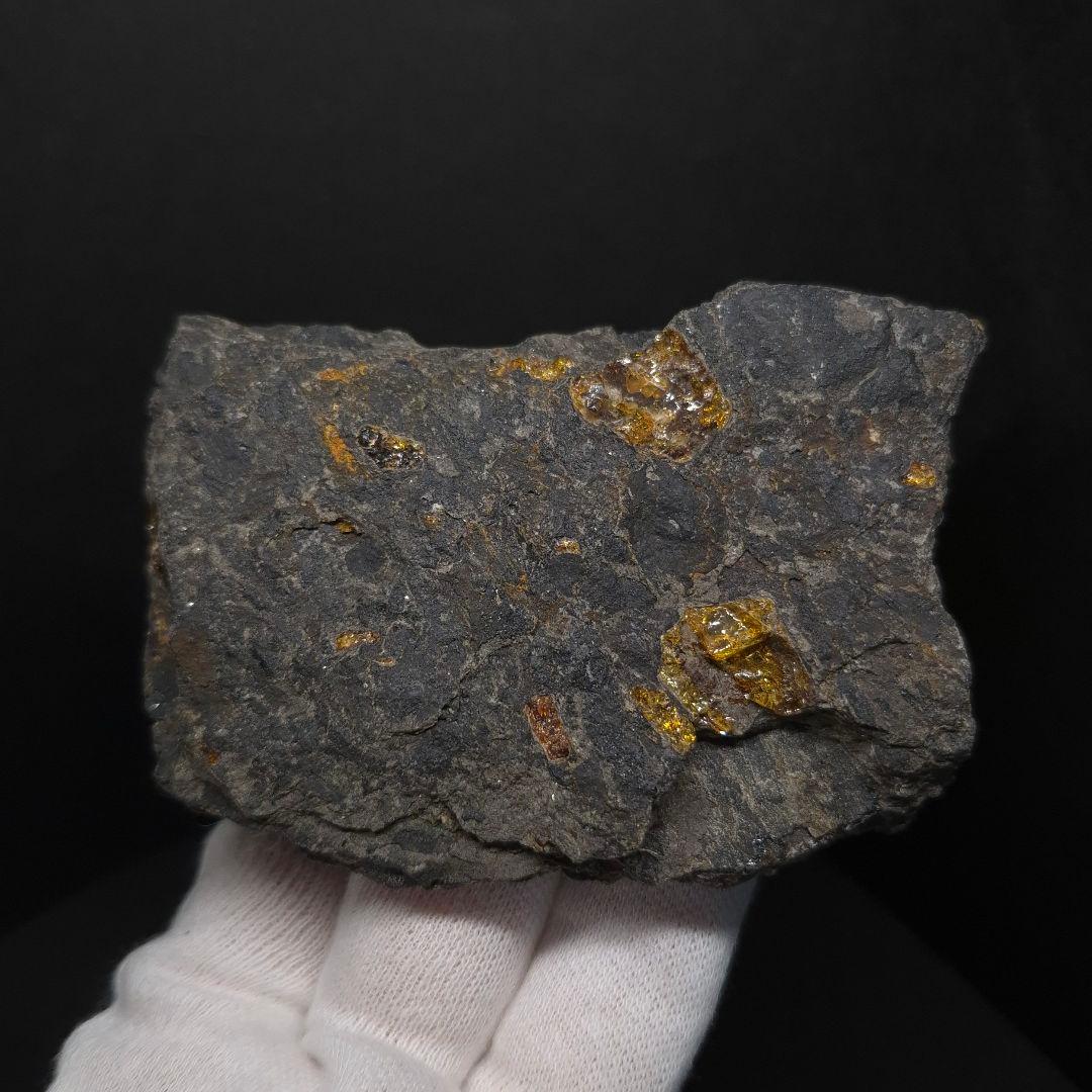 母岩付き 琥珀 化石 本物 87.71mm fab1