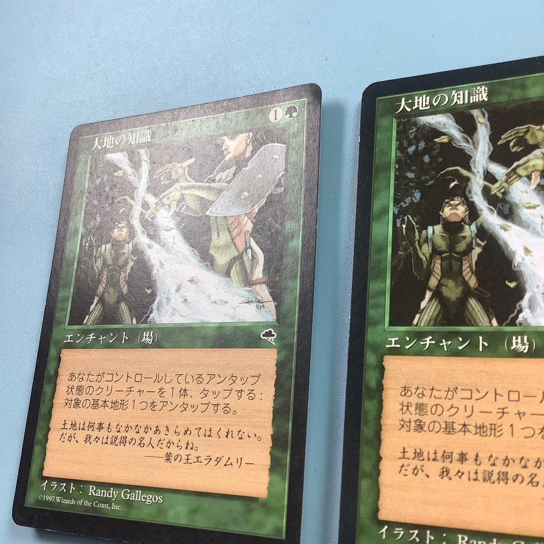 バラ売り可* 大地の知識/Earthcraft TMP日本語2枚セット
