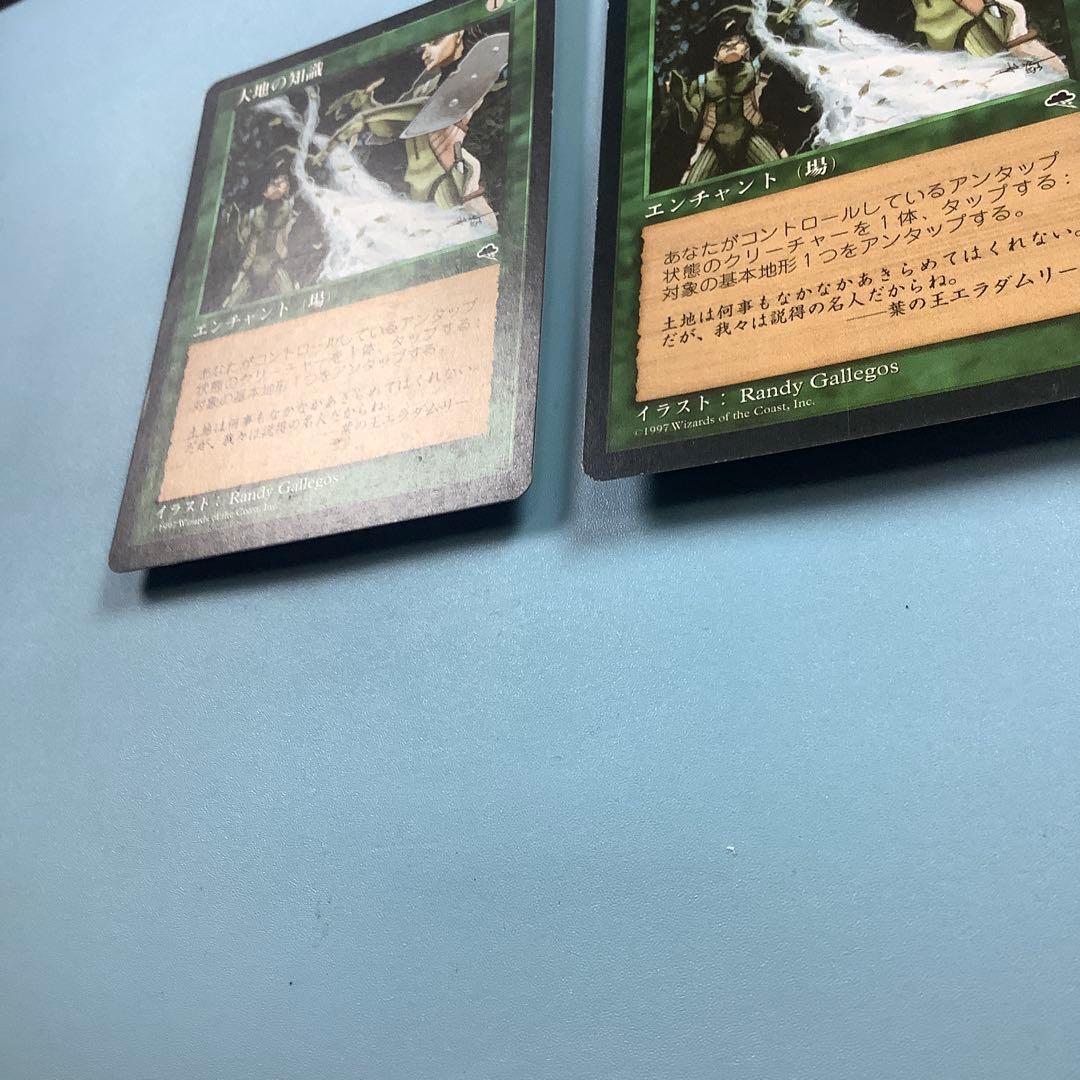 バラ売り可* 大地の知識/Earthcraft TMP日本語2枚セット