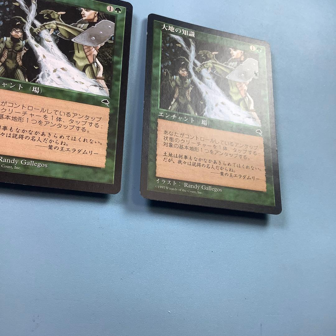 バラ売り可* 大地の知識/Earthcraft TMP日本語2枚セット