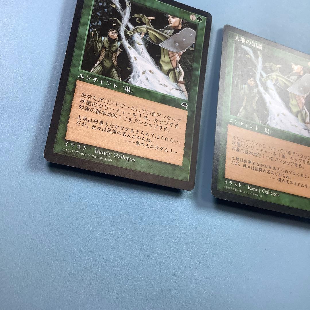 バラ売り可* 大地の知識/Earthcraft TMP日本語2枚セット