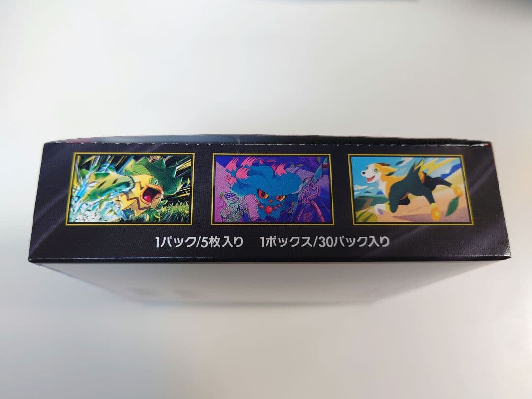 空箱 MEGAドリーム テラスタルフェスex インフェルノX テラスタル