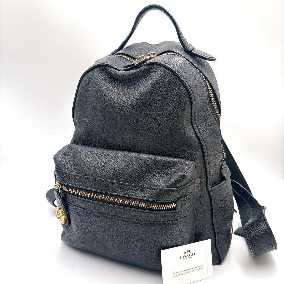 超レアモデル✨コーチ レザー リュック バックパック ターンロック ペブルレザー 極美品 ✨コーチ リュック ビリー ペブルドレザー ターンロック F37410