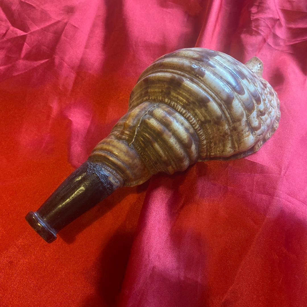 法螺貝　笛　木製吹口付き　和楽器