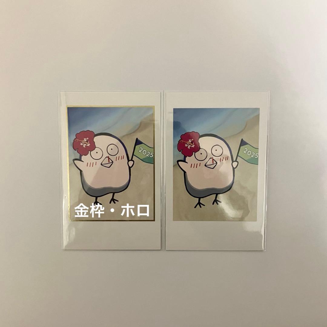 おぼ obo CR フェスcrazy raccoon チェキ風カード - メルカリ