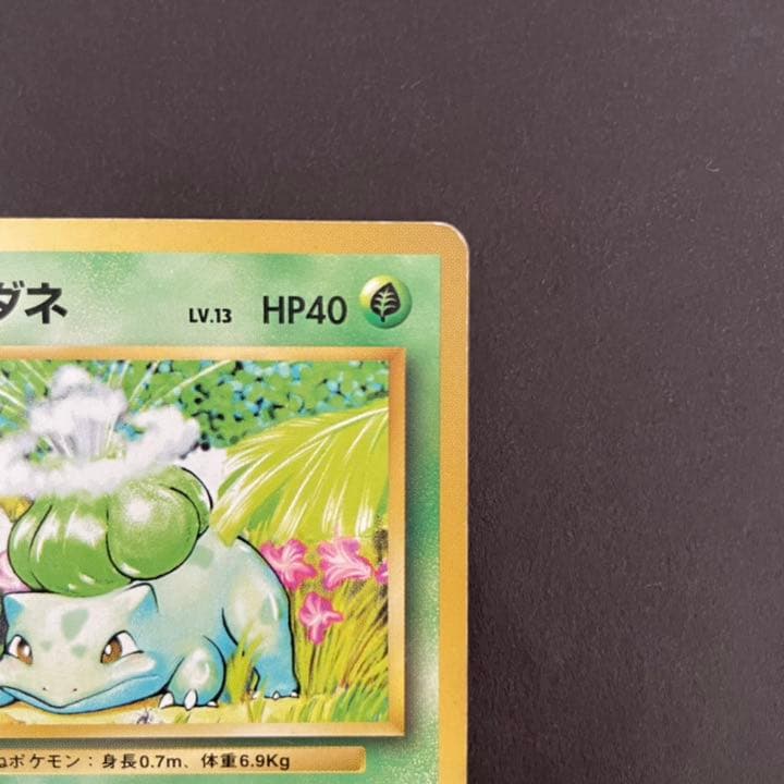 ポケモンカード 旧裏 フシギダネ 初版 マークなし プロモ レア No.1