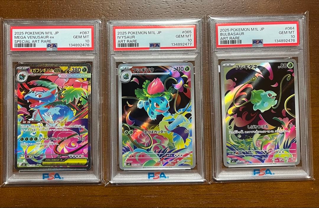 メガフシギバナ　フシギソウ フシギダネ PSA10 連番 フシギダネ フシギソウ フシギバナ AR PSA10 9 3連番ポケモンカード