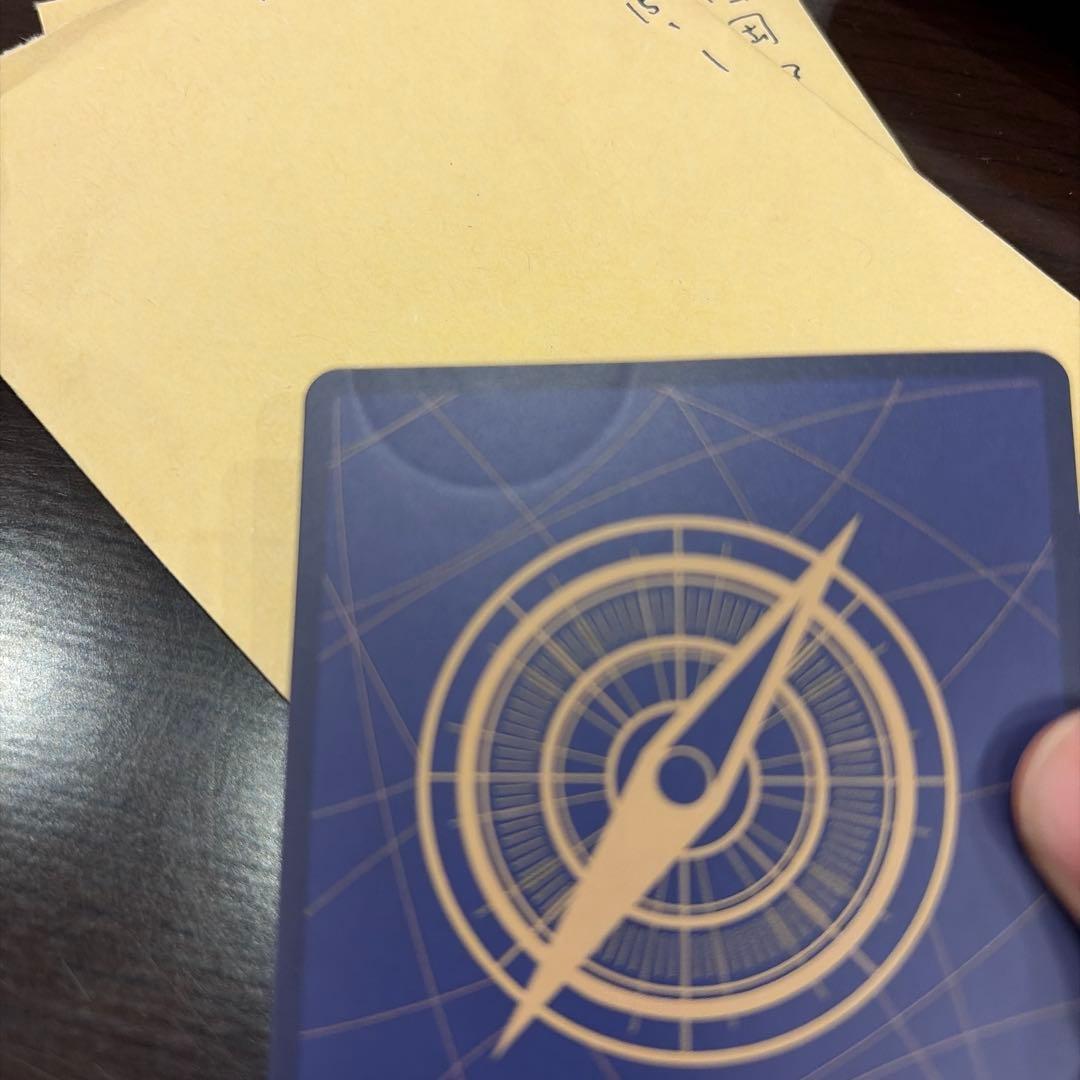 ワンピース カードゲーム ホロカード 5000